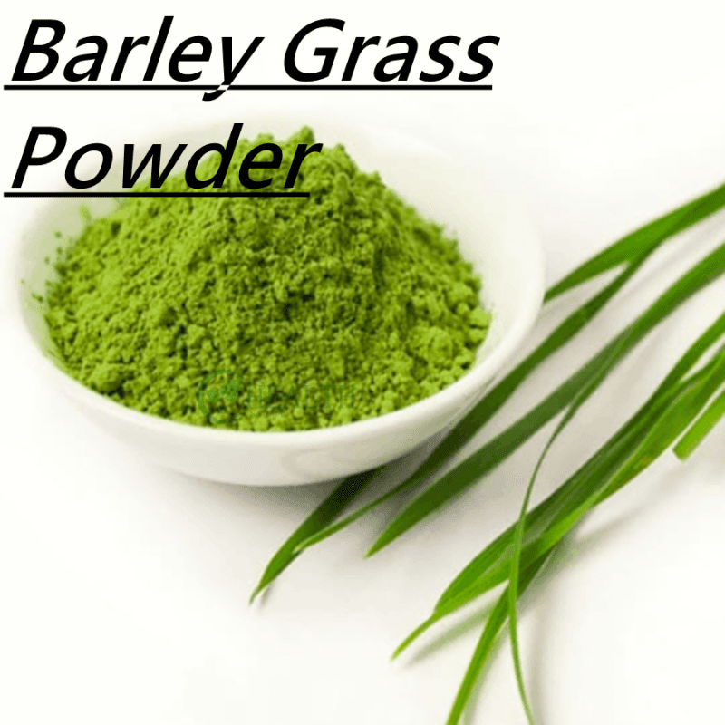 Barley Grass Powder Yhealthbio