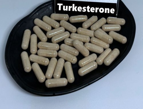 Understanding the Benefits and Applications of Ajuga Turkestanica Extract turkesterone