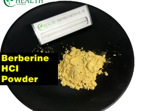 What is Berberine HCI
