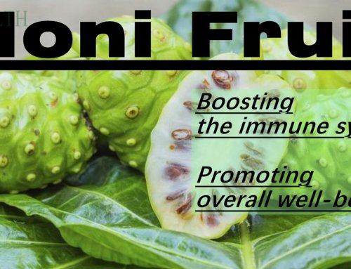 Noni Fruit Powder: A Versatile Dietary Supplement