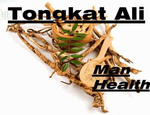 Tongkat Ali Extract: Benefits, Applications, and Usage Precautions